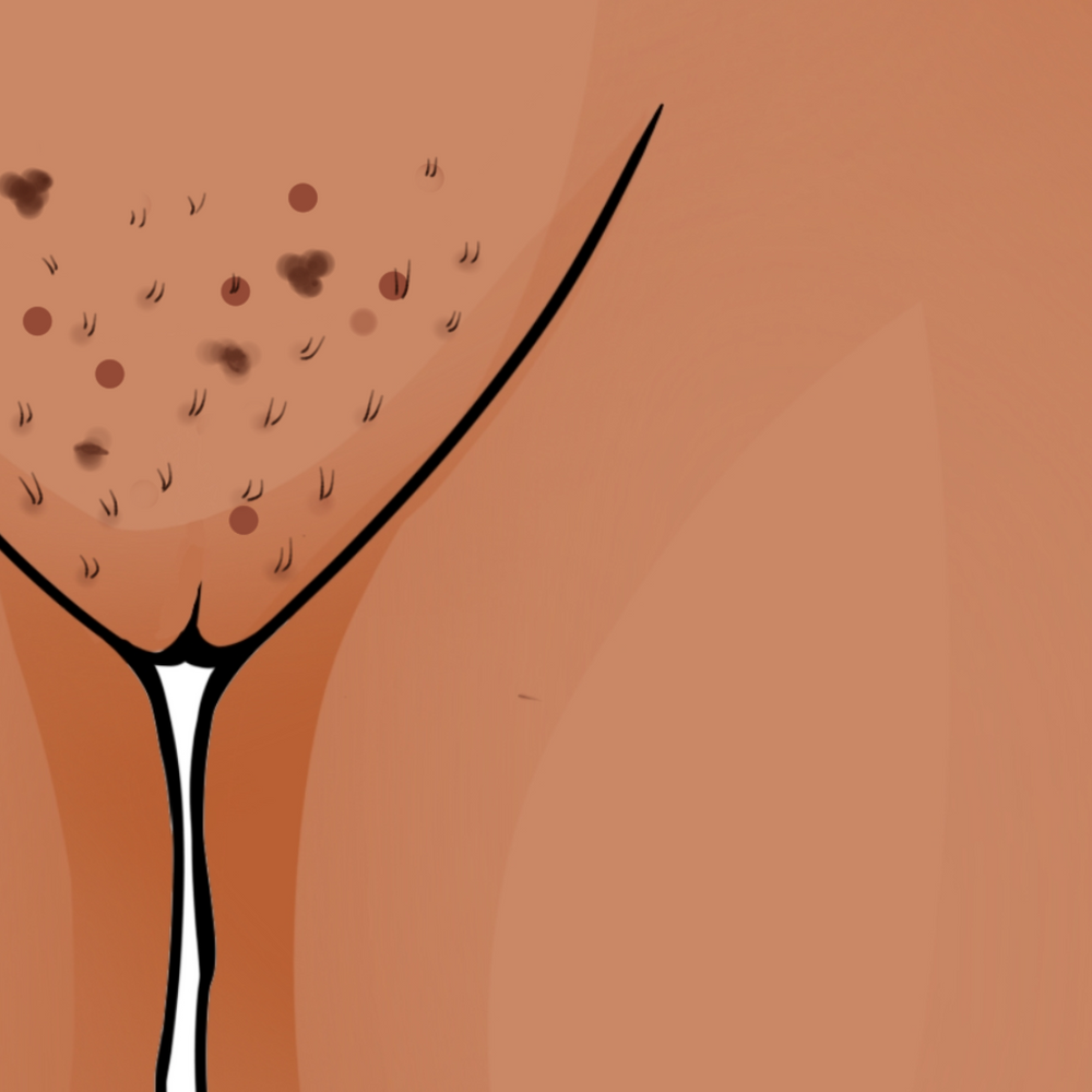 Make Him Swim Bundle